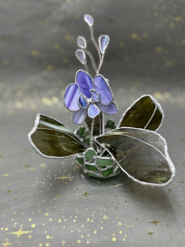 Sea Glass Orchid