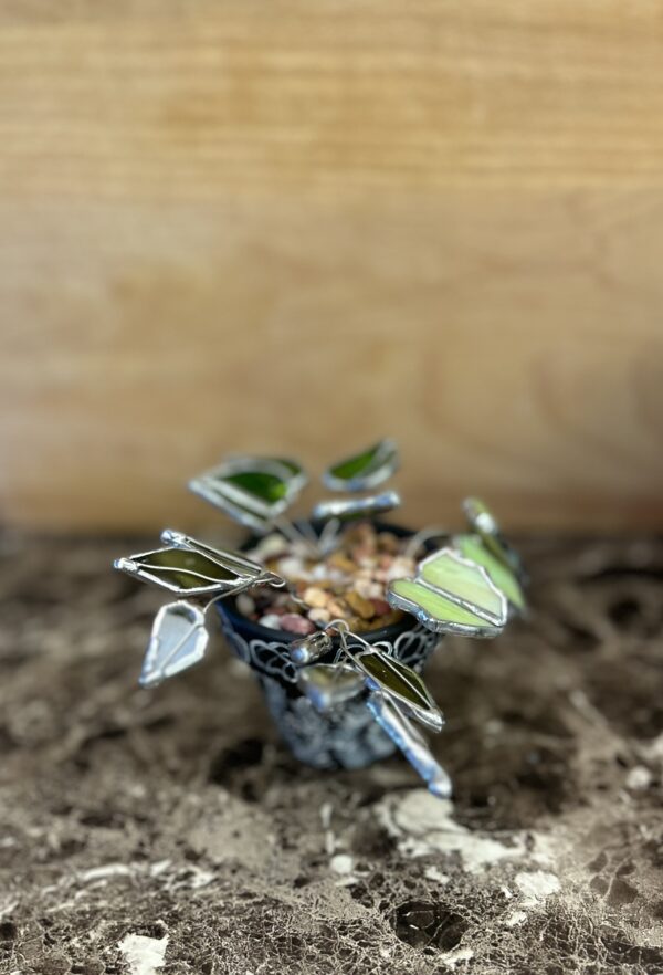 Good Omens: The Demon Crowley's Terrarium (Mini) - Image 4